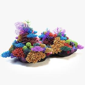 Coral Reef 03 3D